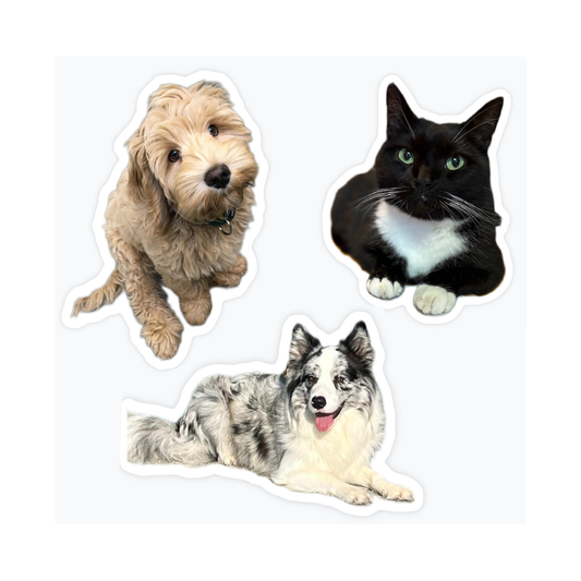 Stickerfun contour stickers op maat voor huisdieren of grappige foto’s