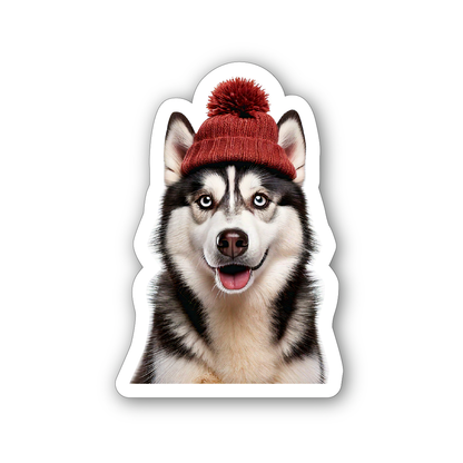 Custom contourgesneden stickers voor logo’s, dierenfoto’s en meer